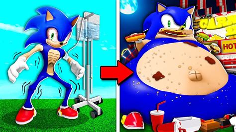 sonic gordão